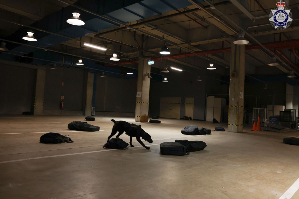 AFP Canines undertake training.