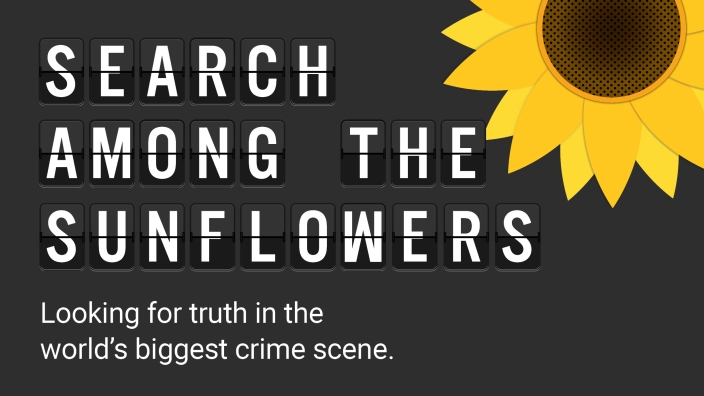 MH17 - Search among the sunflowers