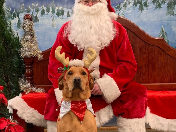 Christmas_Canine_with_Santa