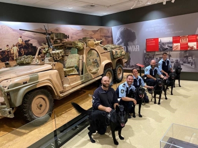 Explosive detection dog team training day at the Australian War Memorial in Canberra ACT
