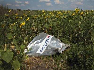 A piece of the Malaysian Airlines plane in a field of sunflowers
